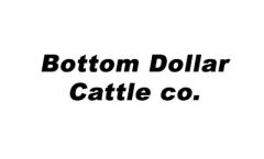 bottemdollarcattle