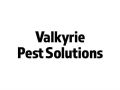valkyrie estsolutions