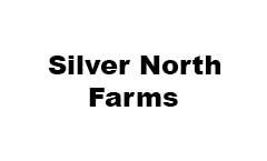 silverenorth16