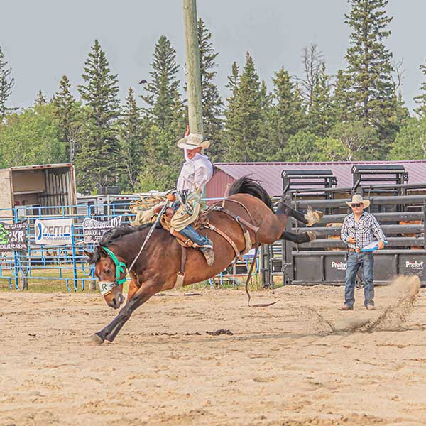 Bronc riding